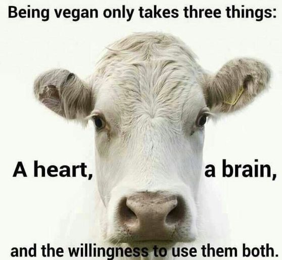 funny vegan quotes