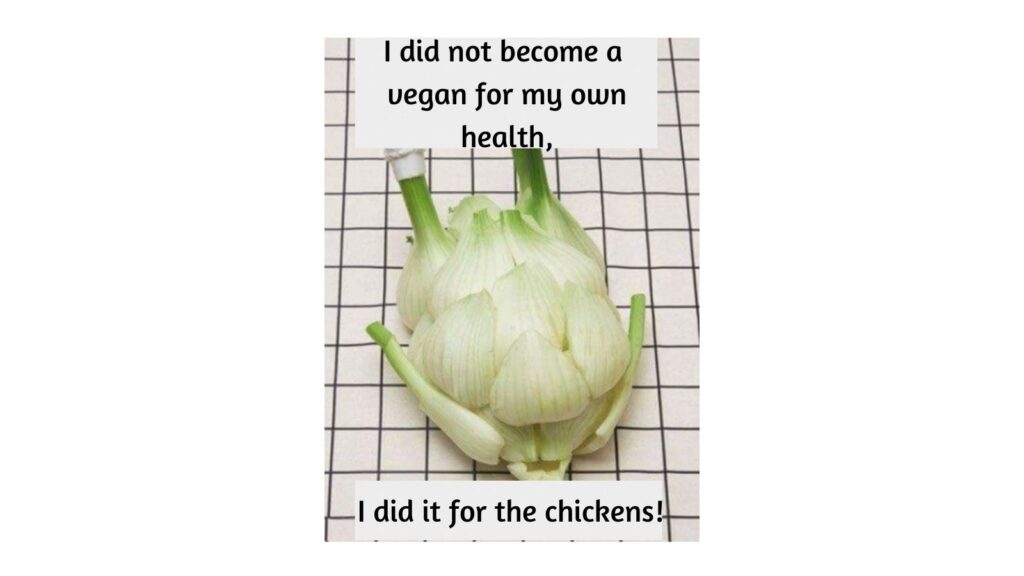 Funny Vegan Quote