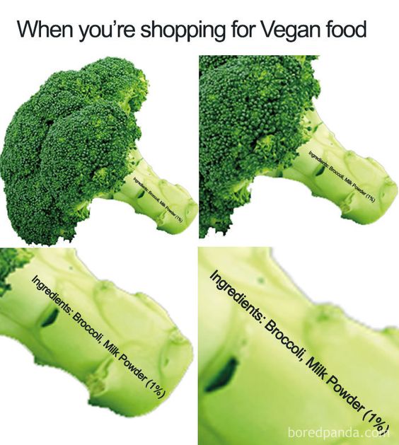 Vegetarian Quotes Funny