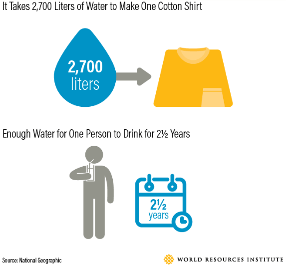 World Resources Institute, fast fashion statistics