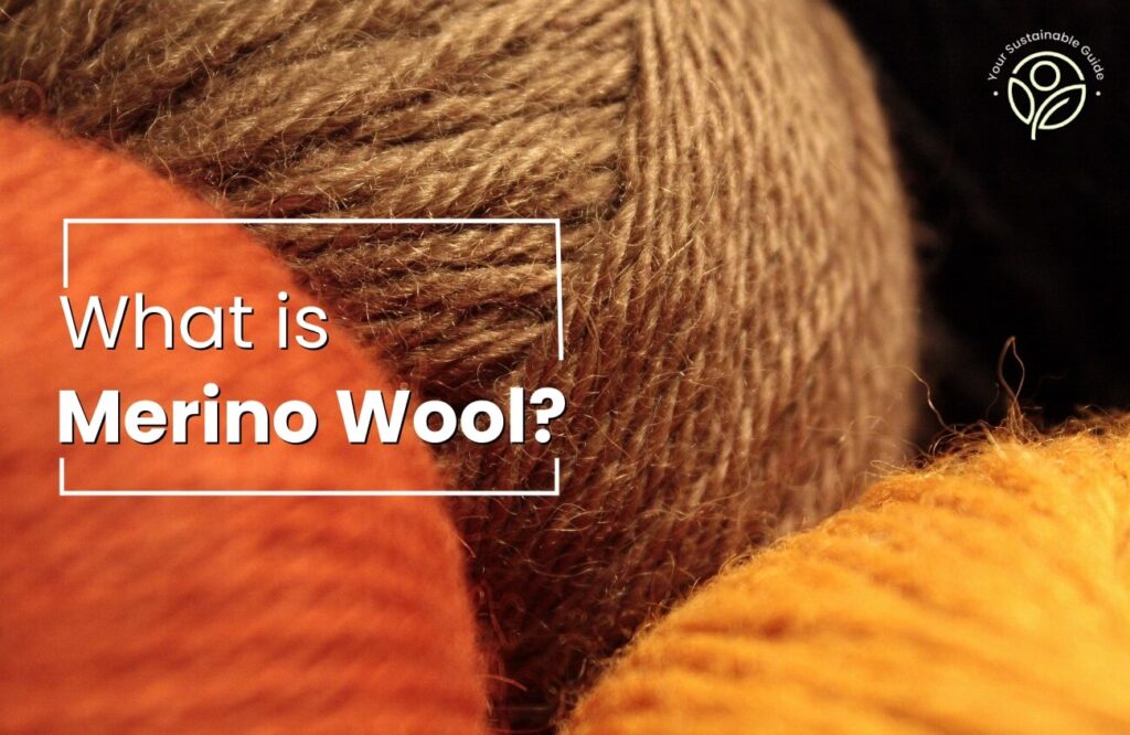 What Is Sheep Wool Is It Really Sustainable What Is Sheep Wool Is It Really Sustainable