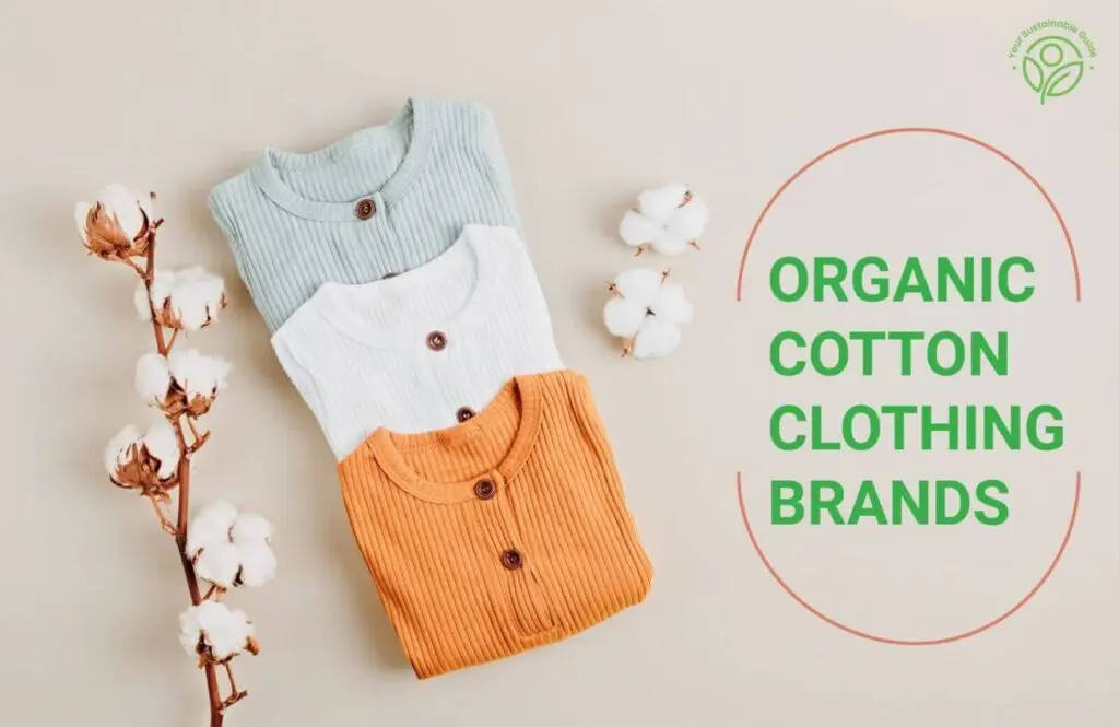 organic cotton clohing brands