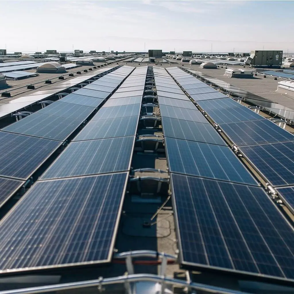 amazon sustainability