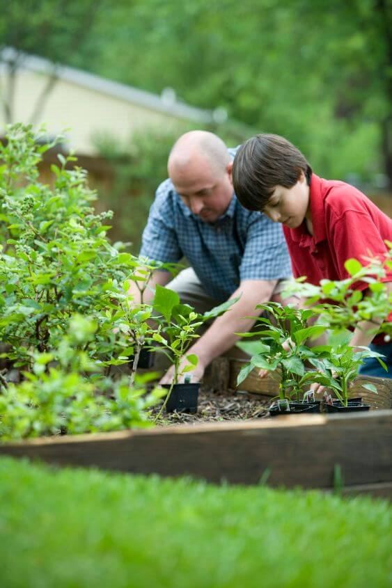 how to celebrate earth day