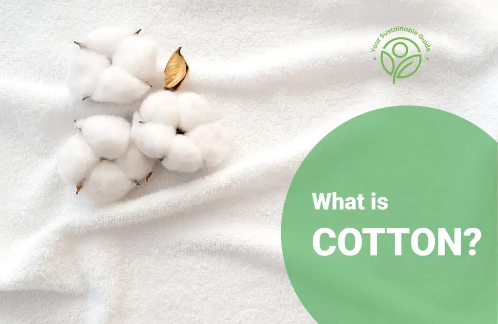 cotton