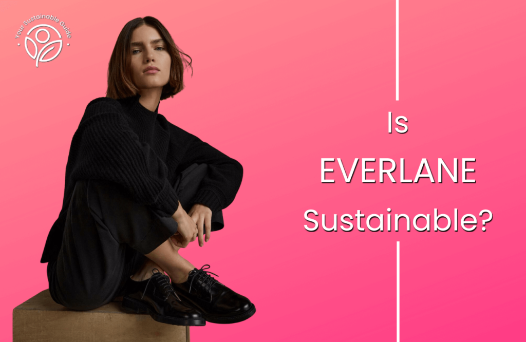 is everlane sustainable