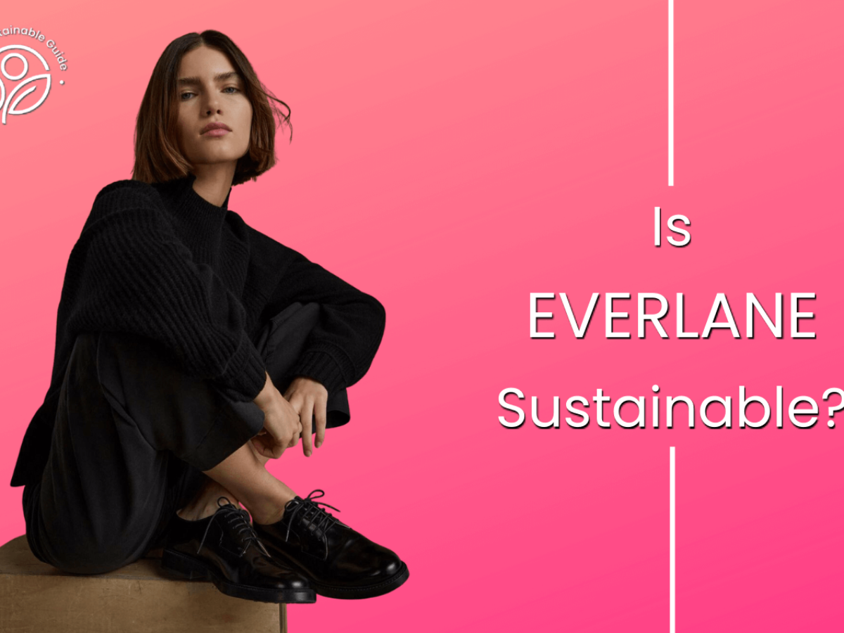 Everlane: Ethical Clothing Brand Review - Shedoesthattoo