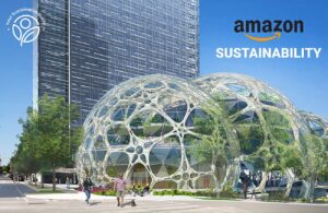 Amazon Sustainability: A Comprehensive Study