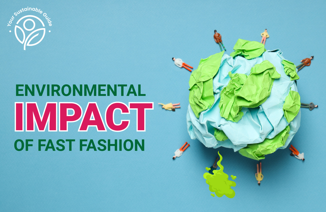 Environmental Impact of Fast Fashion: Ramp to Rags Story