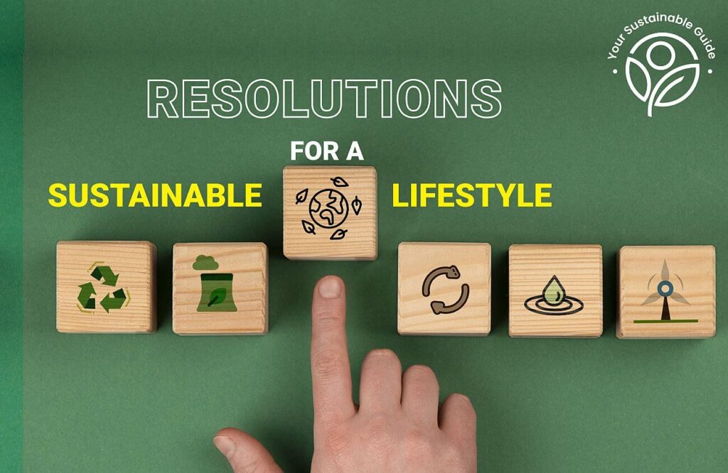 sustainability resolutions