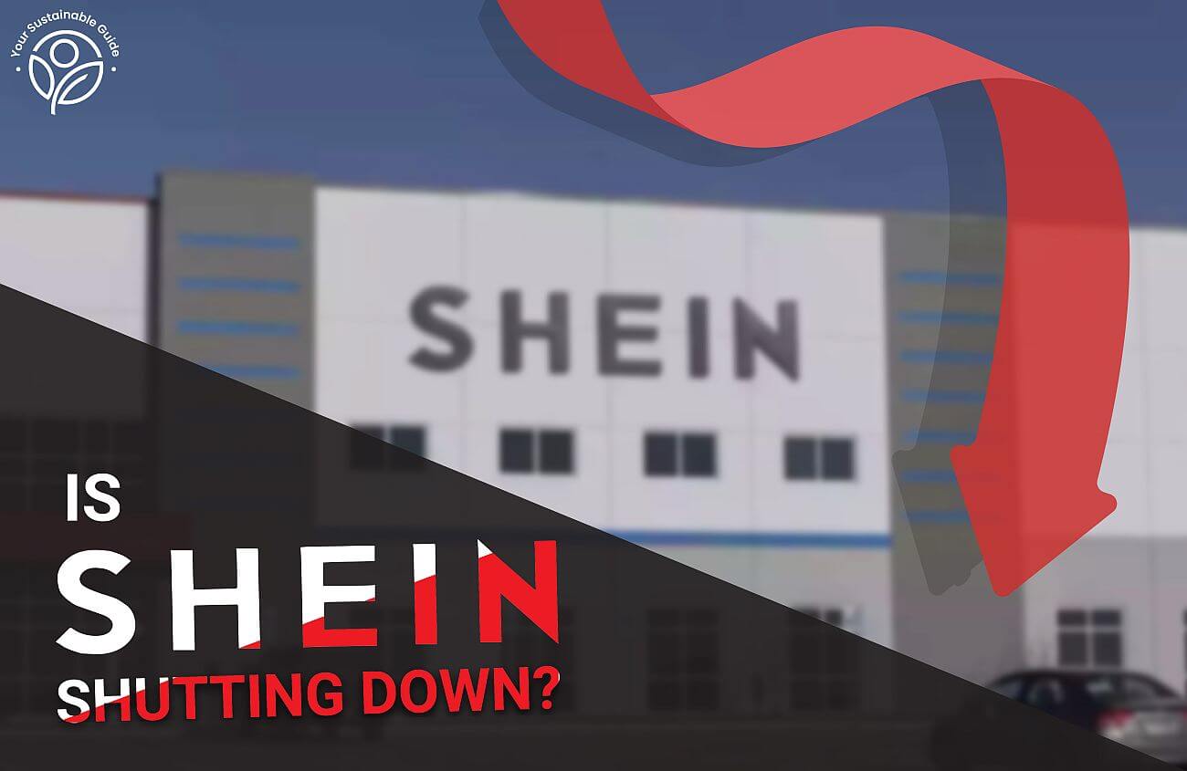 Is Shein Shutting Down After the RICO Lawsuit?