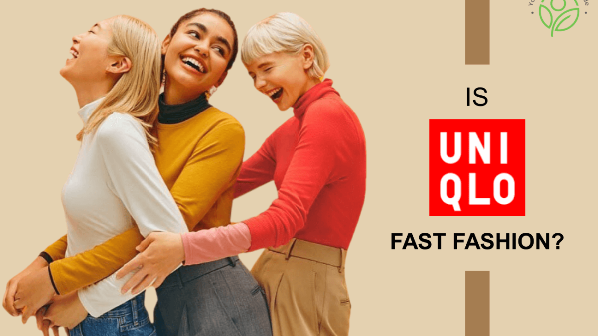 Is Uniqlo Ethical, Sustainable, or Fast Fashion?