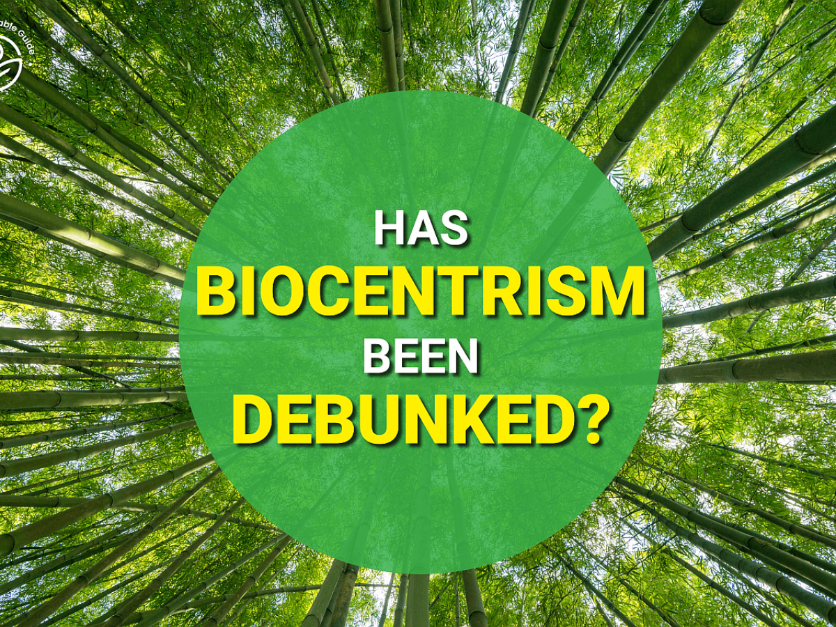Has Biocentrism Been Debunked? Myths and Realities Uncovered