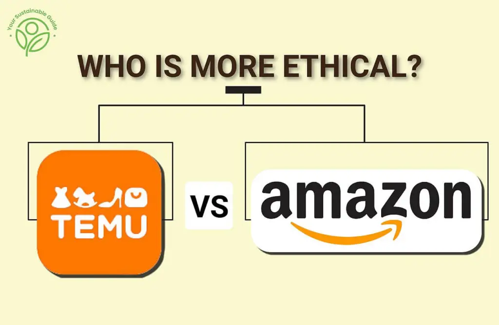 temu vs amazon