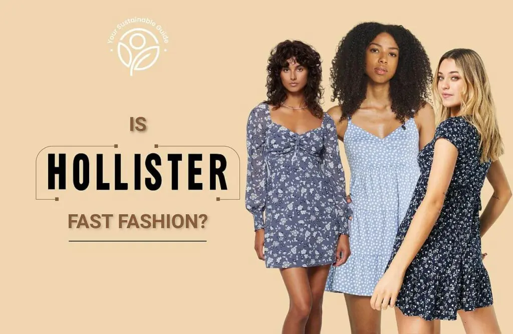 is hollister fast fashion