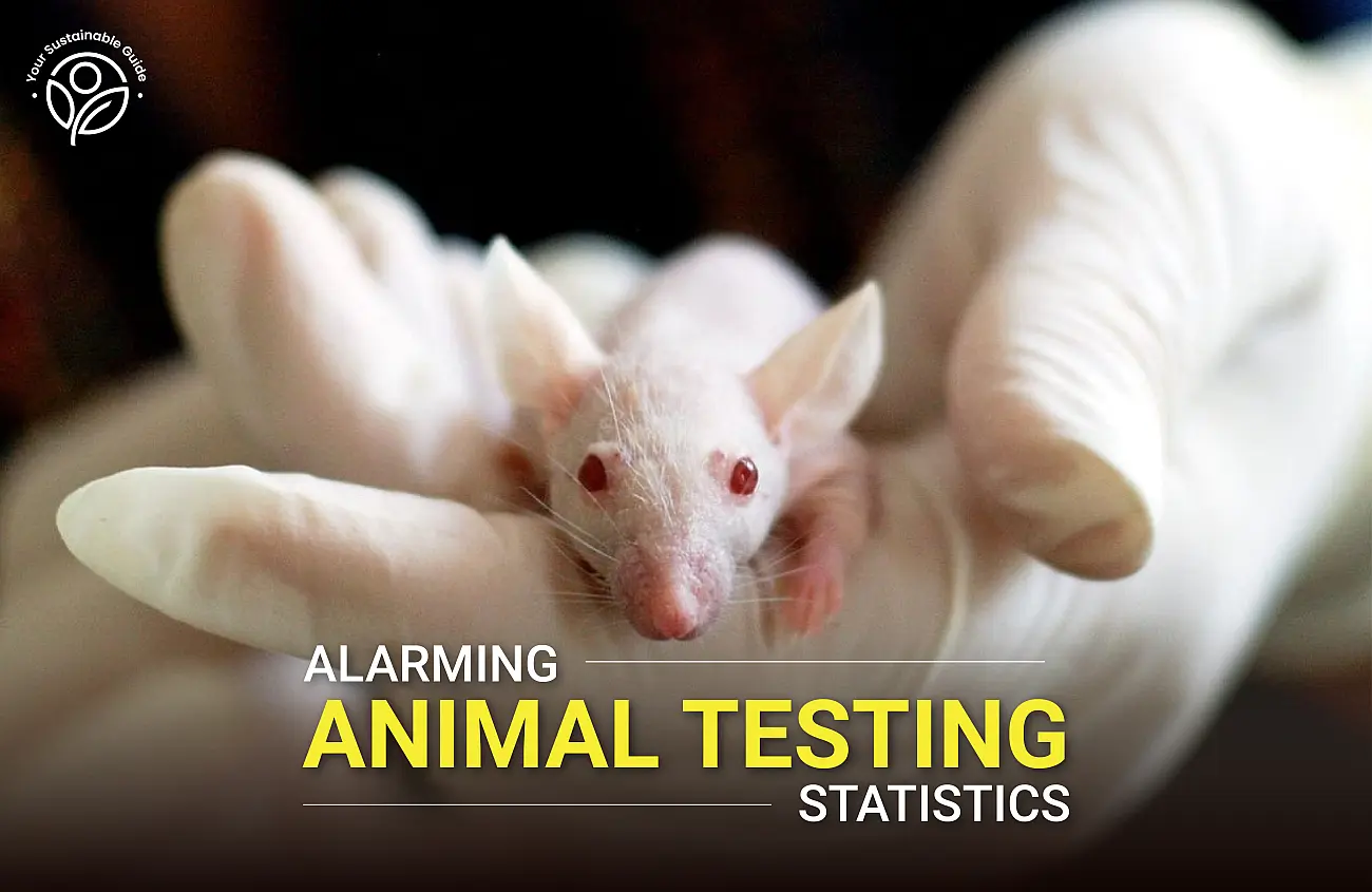 The Silent Sufferers 31 Animal Testing Statistics Unveiled